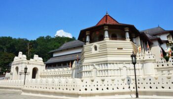 7 Day Tour of Sri Lanka - Best of Sri Lanka