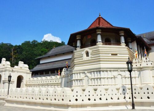 7 Day Tour Sri Lanka