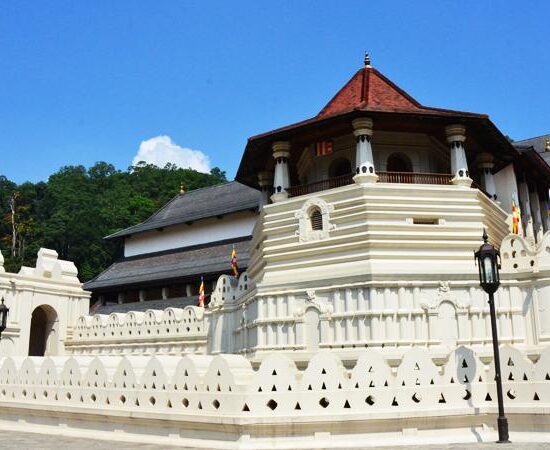 7 Day Tour Sri Lanka